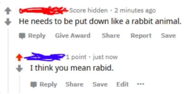 He needs to be put down a rabbit animal.  just now I think you mean rabid.