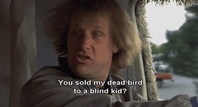 you sold my dead bird to a blind kid - You sold my dead bird to a blind kid?