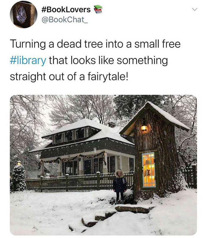 tree trunk library - Turning a dead tree into a small free that looks something straight out of a fairytale!