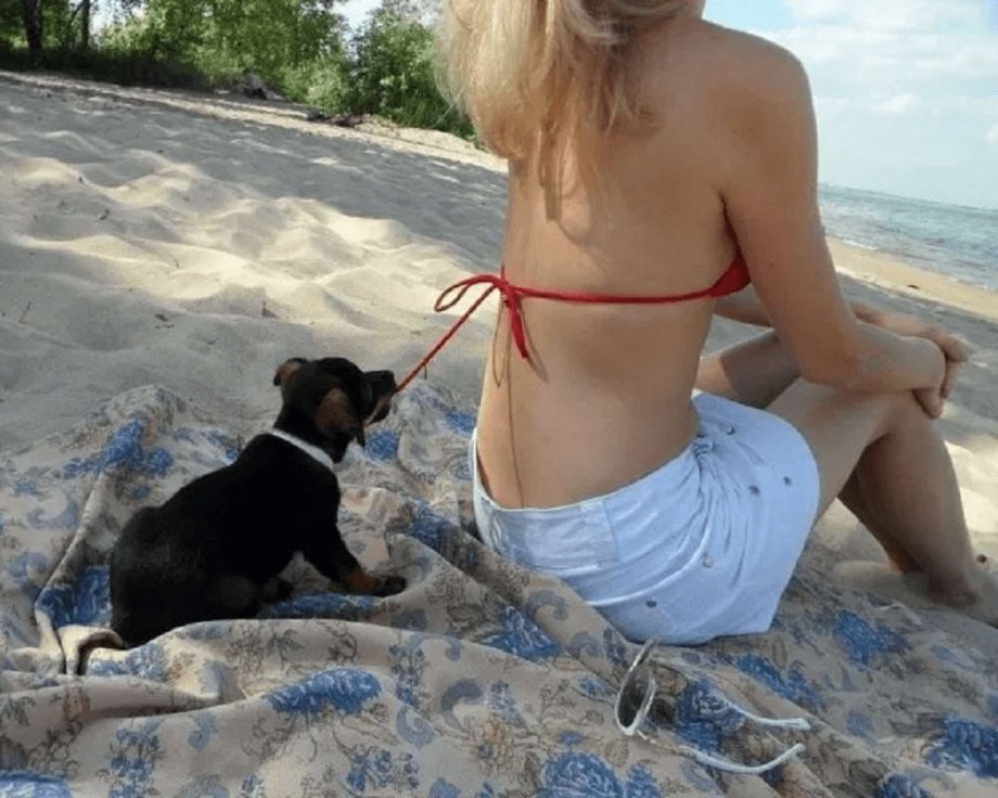 dog pulling bikini