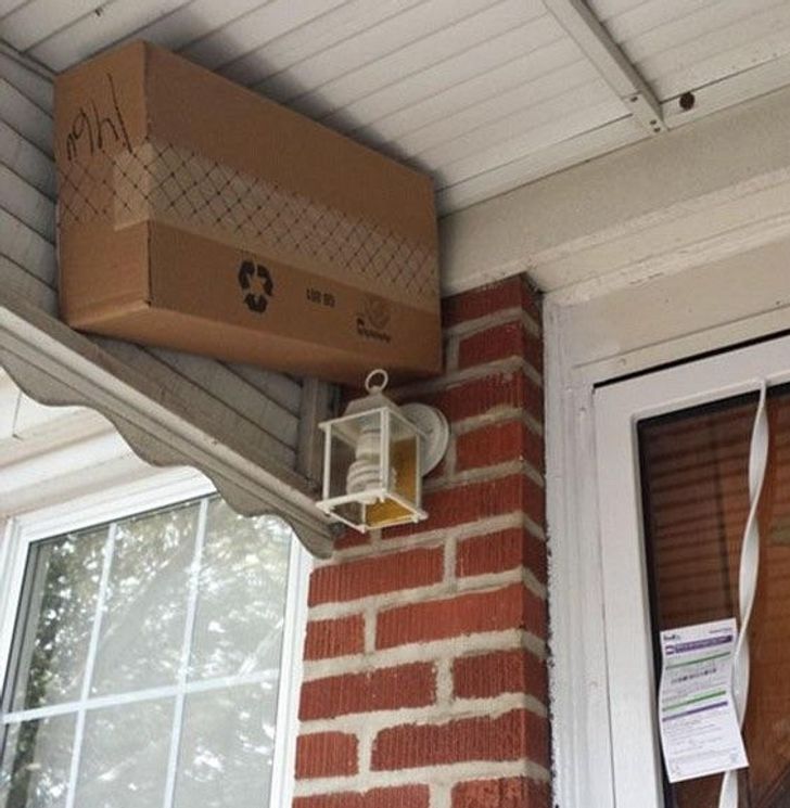 delivery guy hiding package so it's not stolen