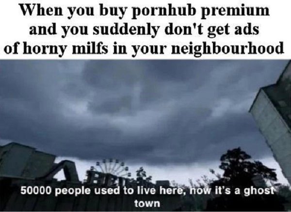 sarbanes–oxley act - When you buy pornhub premium and you suddenly don't get ads of horny milfs in your neighbourhood 50000 people used to live here, now it's a ghost town