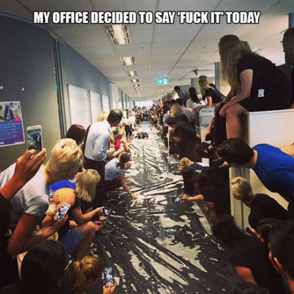office slip and slide - My Office Decided To Say 'Fuck It Today