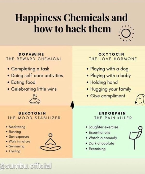 Food - Happiness Chemicals and how to hack them Dopamine The Reward Chemical Oxytocin The Love Hormone Completing a task Doing selfcare activities Eating food . Celebrating little wins Sss Playing with a dog Playing with a baby Holding hand Hugging your f