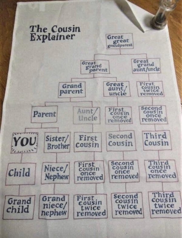 material - The Cousin Explainer Great great grandparent Great parent grand Great grand auntuncle Grand Great aunt uncle First cousin twice removed parent Parent Aunt Llncle First, cousin once removed Second cousin once removed You Sister First Brother cou