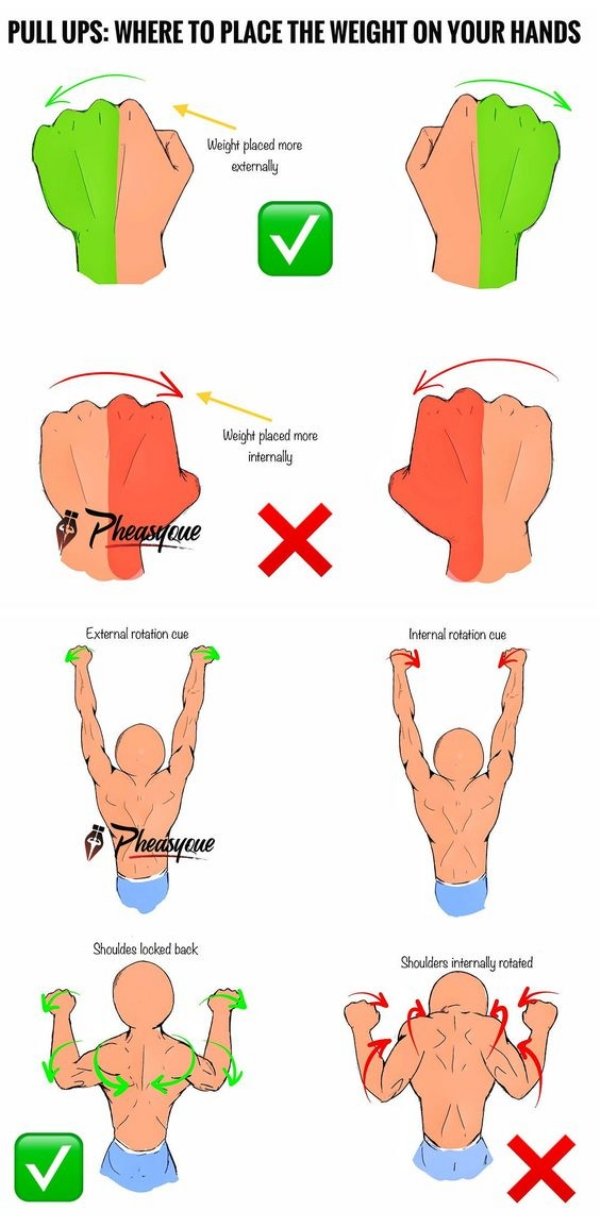 pull up workout muscles - Pull Ups Where To Place The Weight On Your Hands Weight placed more externally Weight placed more internally Pheasane X External rotation cue Internal rotation cue Pheasyeue Shouldes locked back Shoulders internally rotated X