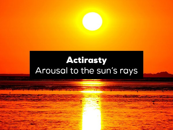 sun - Actirasty Arousal to the sun's rays