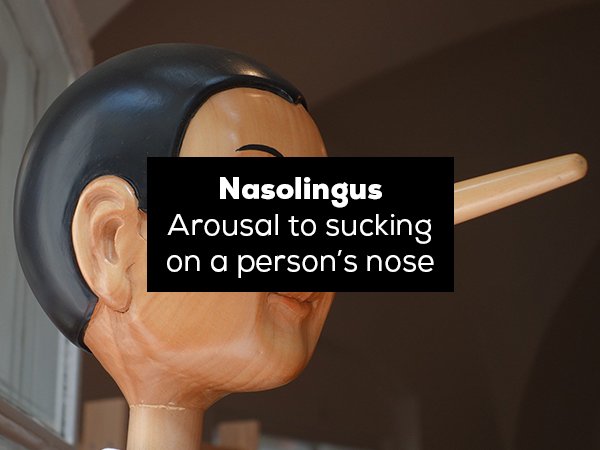 Nasolingus Arousal to sucking on a person's nose