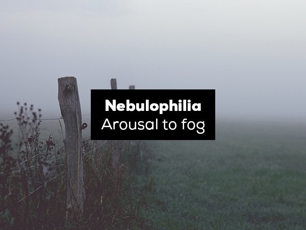 fog - Nebulophilia Arousal to fog