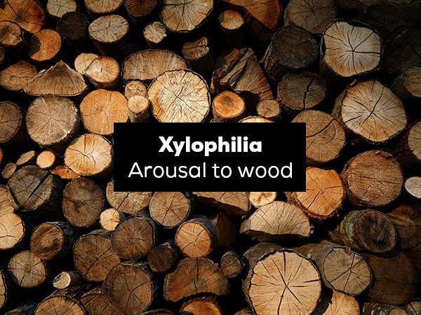 wood - Xylophilia Arousal to wood