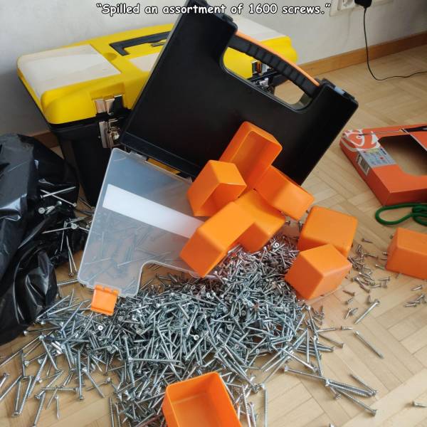 orange - "Spilled an assortment of 1600 screws."