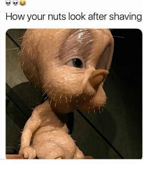 funny memes dirty - How your nuts look after shaving