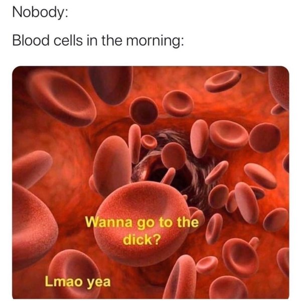 blood cells in the morning - Nobody Blood cells in the morning Wanna go to the dick? Lmao yea