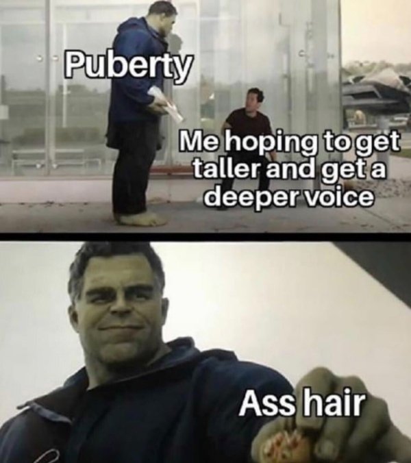 puberty ass hair hulk meme - Puberty Me hoping to get taller and get a deeper voice Ass hair
