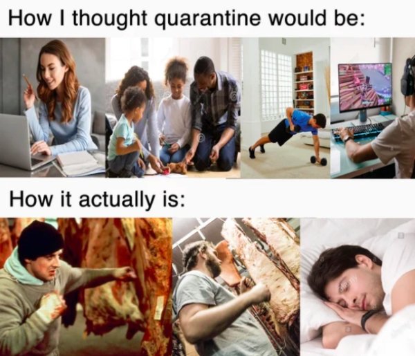quarantine reality meme - How I thought quarantine would be How it actually is