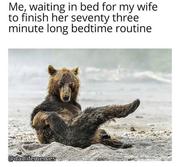 bear being sexy - Me, waiting in bed for my wife to finish her seventy three minute long bedtime routine