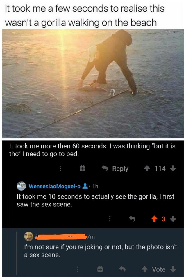 photo caption - It took me a few seconds to realise this wasn't a gorilla walking on the beach It took me more then 60 seconds. I was thinking but it is tho I need to go to bed. 1 114 Wenseslao Moguelo 1h It took me 10 seconds to actually see the gorilla,
