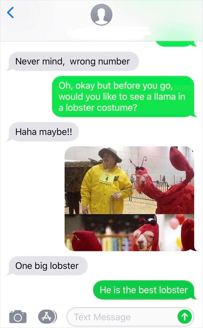 Never mind, wrong number Oh, okay but before you go, would you to see a llama in a lobster costume? Haha maybe!! One big lobster He is the best lobster