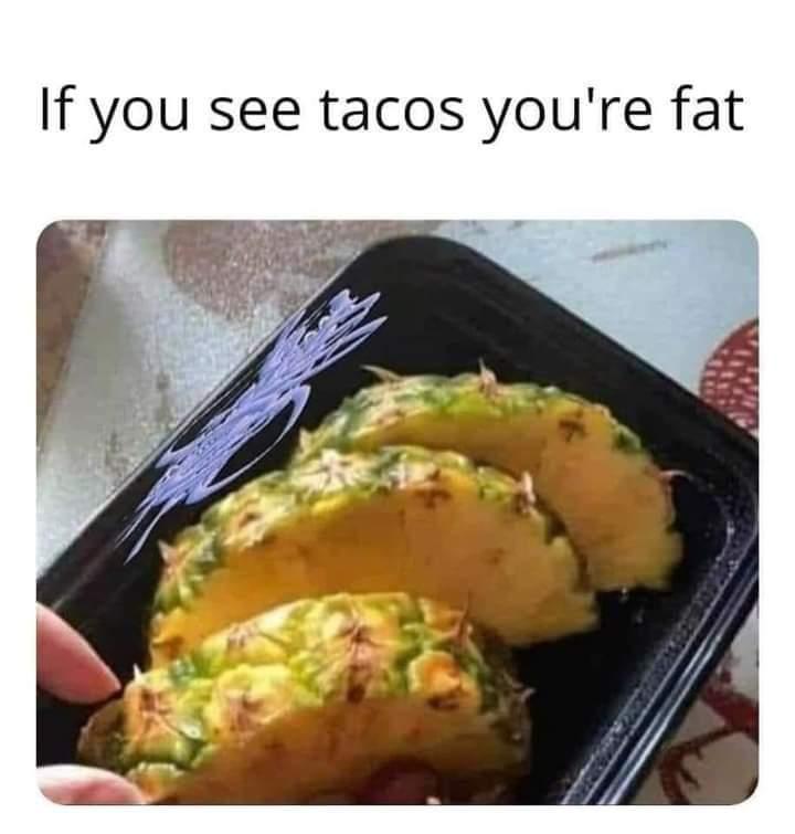 Taco - If you see tacos you're fat