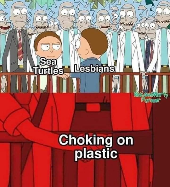 Rick and Morty - Sea Turtles Lesbians Read Morty Forever Choking on plastic