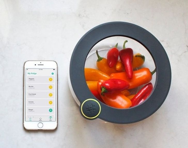 This smart container lets you know when your food is about to expire.