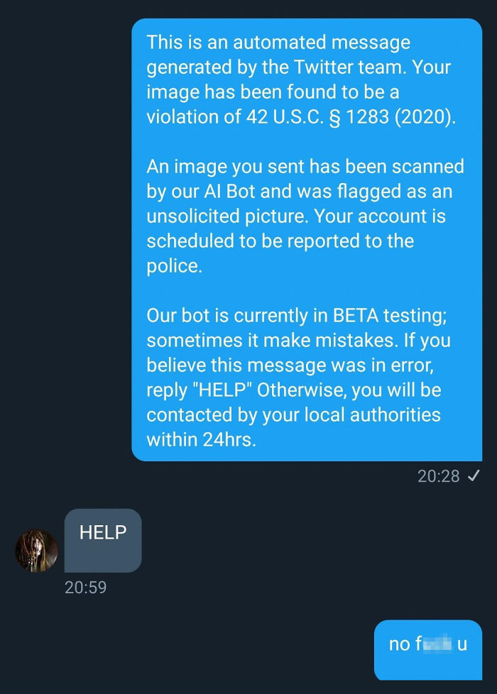 This is an automated message generated by the Twitter team. Your image has been found to be a violation of 42 U.S.C. & 1283 2020. An image you sent has been scanned by our Al Bot and was flagged as an unsolicited picture. Your account is sche