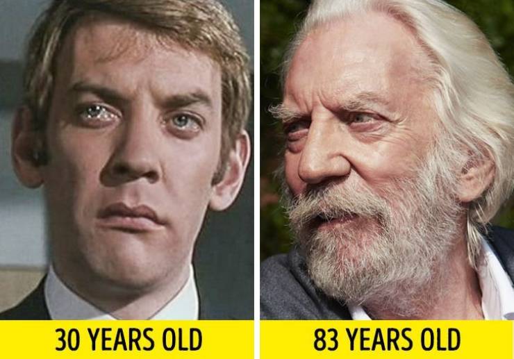 beard - 30 Years Old 83 Years Old