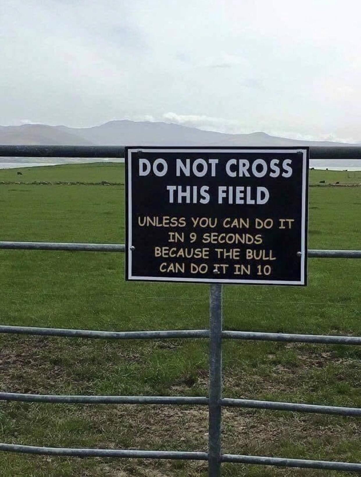 florida man bull meme - Do Not Cross This Field Unless You Can Do It In 9 Seconds Because The Bull Can Do It In 10