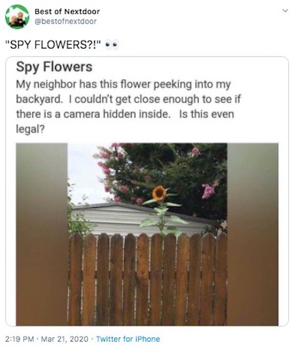spy flowers - Best of Nextdoor "Spy Flowers?!" Spy Flowers My neighbor has this flower peeking into my backyard. I couldn't get close enough to see if there is a camera hidden inside. Is this even legal? . Twitter for iPhone