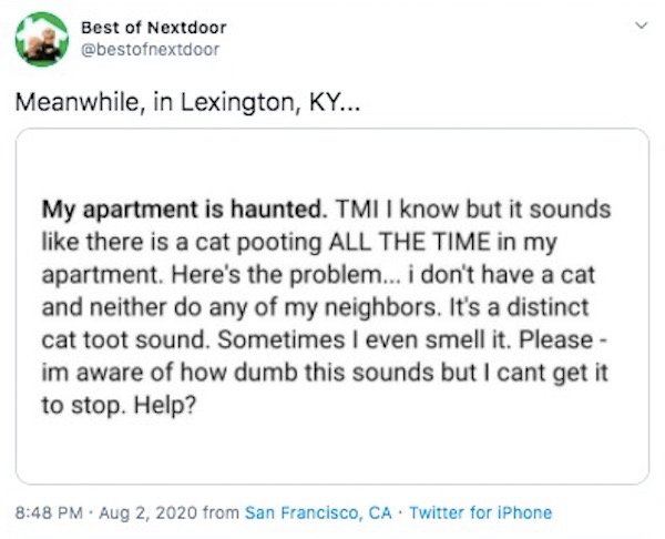 vinny and alysse - Best of Nextdoor Meanwhile, in Lexington, Ky... My apartment is haunted. Tmi I know but it sounds there is a cat pooting All The Time in my apartment. Here's the problem... i don't have a cat and neither do any of my neighbors. It's a d