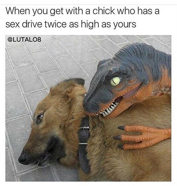 girlfriend sex meme - When you get with a chick who has a sex drive twice as high as yours