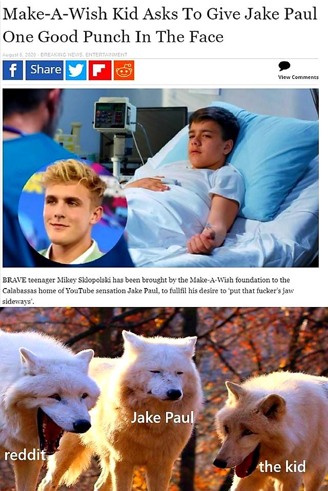 three wolves laughing meme - MakeAWish Kid Asks To Give Jake Paul One Good Punch In The Face August 6. 2020. Breaking News Entertainment f View Brave teenager Mikey Sklopolski has been brought by the MakeAWish foundation to the Calabassas home of YouTube 