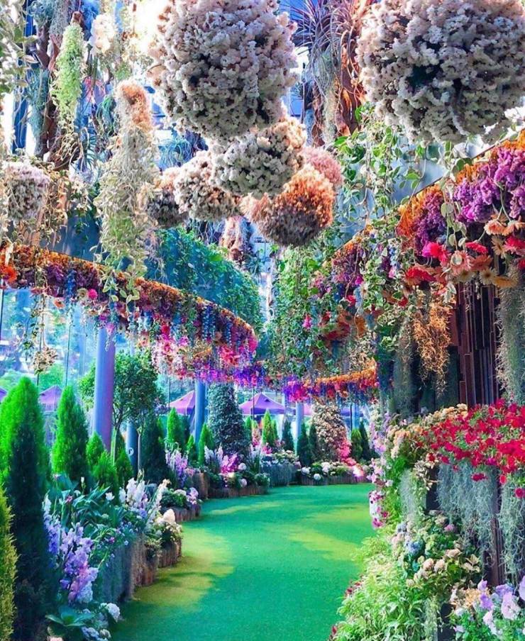 breathtaking gardens in singapore