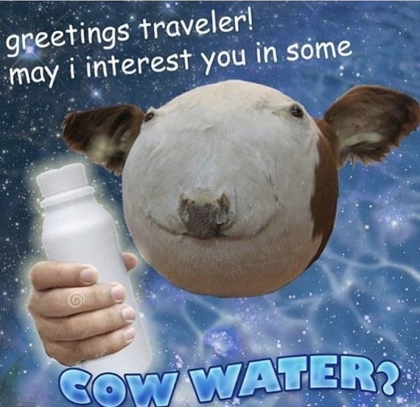 greetings traveler may i interest you in some cow water - Cow Water? greetings traveler! may i interest you in some