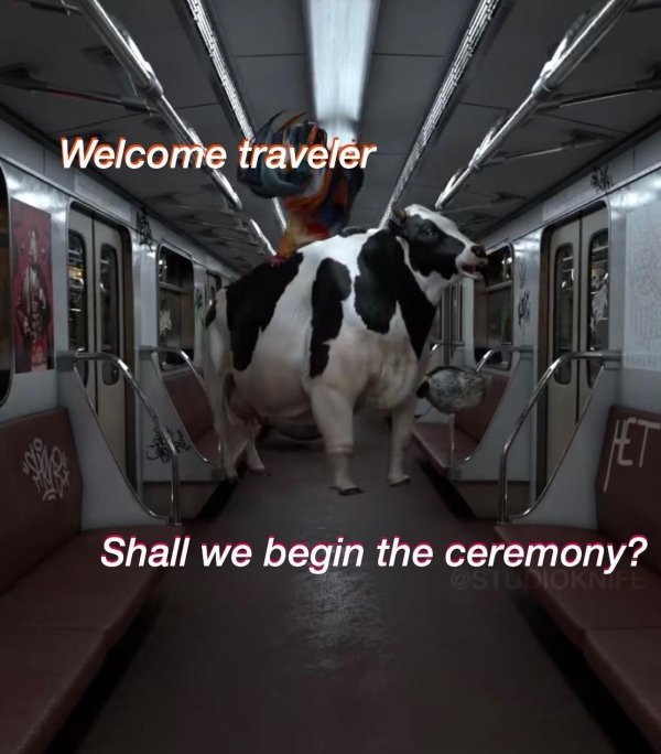 welcome traveler shall we begin the ceremony - Welcome traveler Et Shall we begin the ceremony? Os Ok