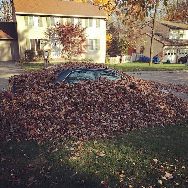 mom buried her son's car in leaves