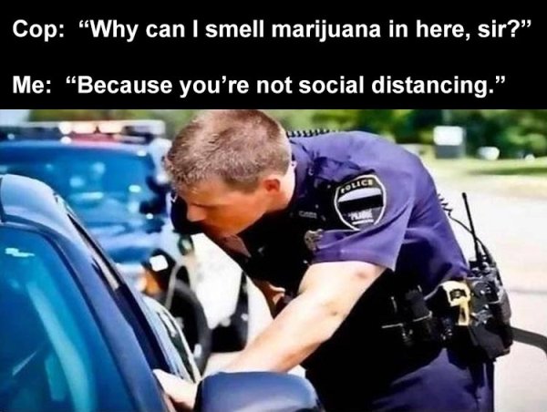 Cop: why can I smell marijuana in here sir? me: because you're not social distancing