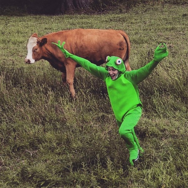 guy dressed as kermit the frog running next to a cow