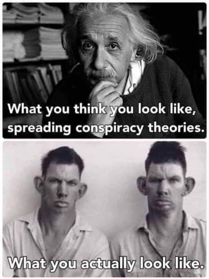 What you think you look like, spreading conspiracy theories. What you actually look like.