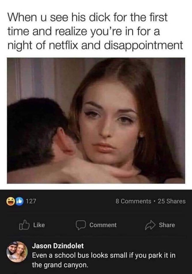 you remember he lied meme - When u see his dick for the first time and realize you're in for a night of netflix and disappointment i 127 8 25 Comment Jason Dzindolet Even a school bus looks small if you park it in the grand canyon.
