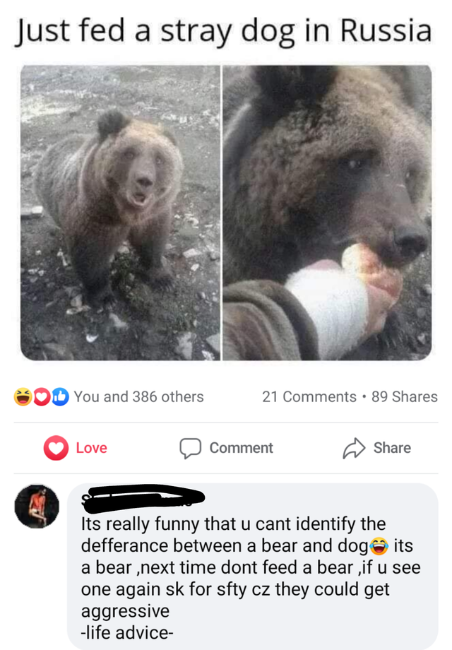 people who missed the joke - feeding a stray dog from russia - Just fed a stray dog in Russia You and 386 others 21 . 89 Love Comment Its really funny that u cant identify the defferance between a bear and dog its a bear next time dont feed a bear if u se