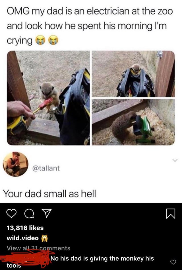 people who missed the joke - electrician meme funny - Omg my dad is an electrician at the zoo and look how he spent his morning I'm crying Your dad small as hell a o v 13,816 wild.video View all 31 No his dad is giving the monkey his tools