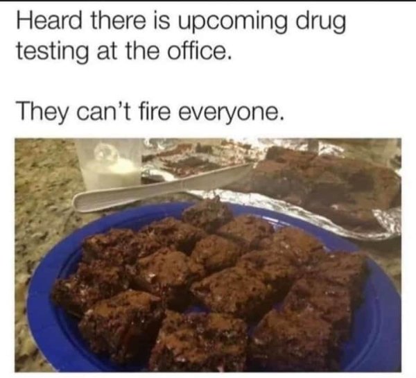 memes weed brownie - Heard there is upcoming drug testing at the office. They can't fire everyone.