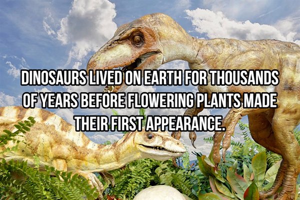 fauna - Dinosaurs Lived On Earth For Thousands Of Years Before Flowering Plants Made Their First Appearance.