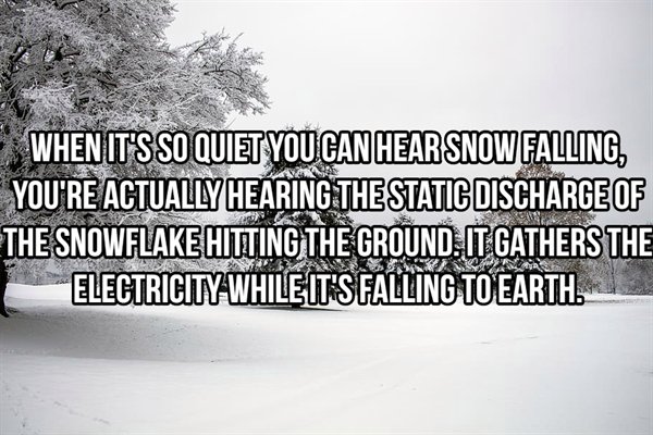 winter - When It'S So Quiet You Can Hear Snow Falling, You'Re Actually Hearing The Static Discharge Of The Snowflake Hitting The Ground. It Gathers The Electricity WhileitS Falling To Earth.