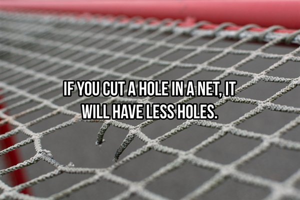 Minecraft - If You Cut A Hole In A Net, It Will Have Less Holes