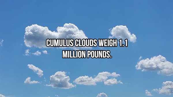 sky - Cumulus Clouds Weigh 1.1 Million Pounds.