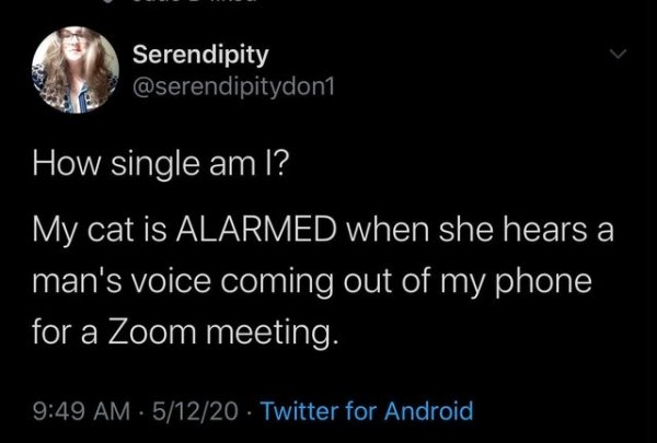 atmosphere - Serendipity How single am I? My cat is Alarmed when she hears a man's voice coming out of my phone for a Zoom meeting. 51220 Twitter for Android