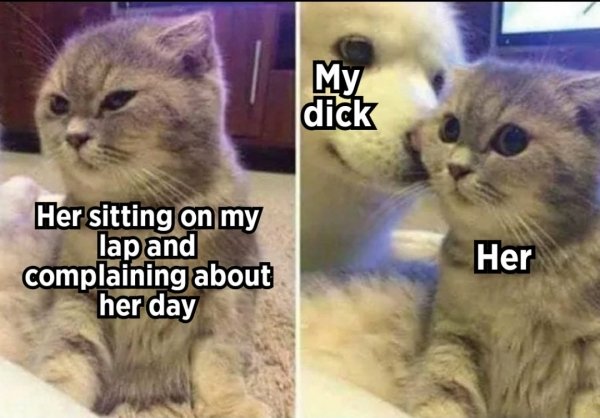 32 Dirty Memes To Send Your Mind Into The Gutter.