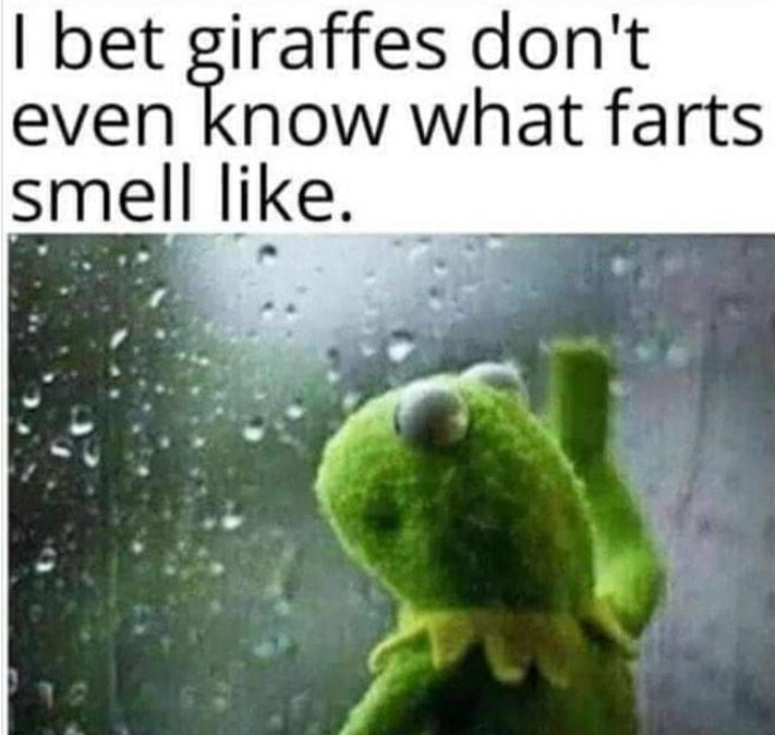 kermit covid meme - I bet giraffes don't even know what farts smell .